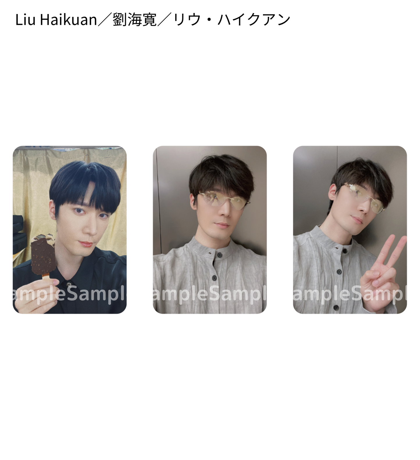 《時を超えた出会い 2024・夏》フォトカードセットB(3枚入り)/PhotoCard Set #B(3 cards)