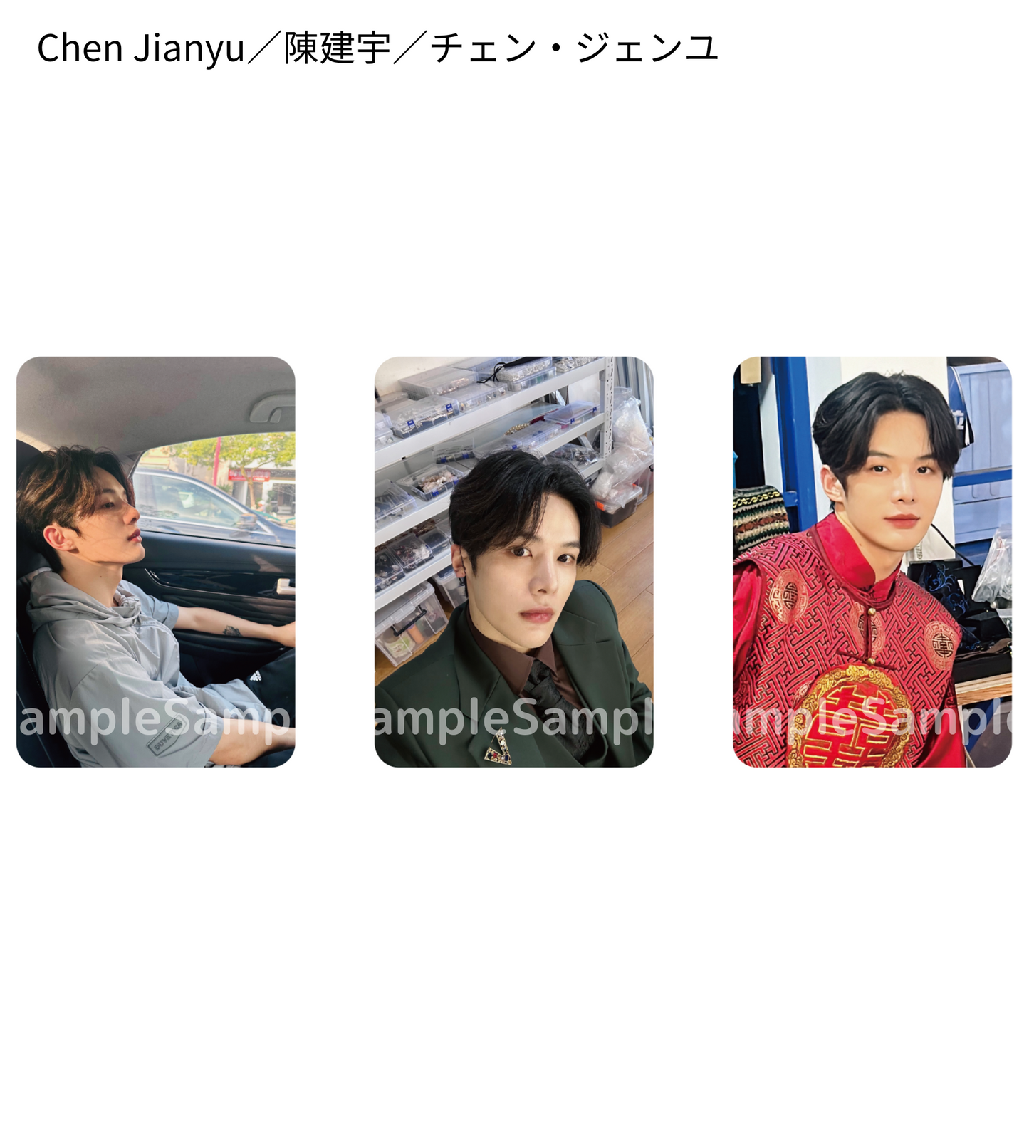 《時を超えた出会い 2024・夏》フォトカードセットC(3枚入り)/PhotoCard Set #C(3 cards)