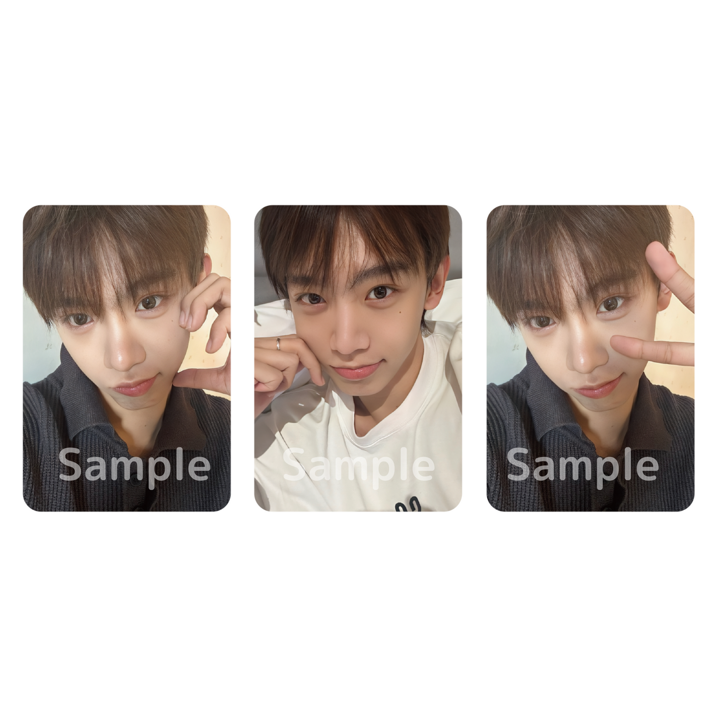 《Shuaibo》ランダムフォトカードF/ Random Photo Card #F #NewYear