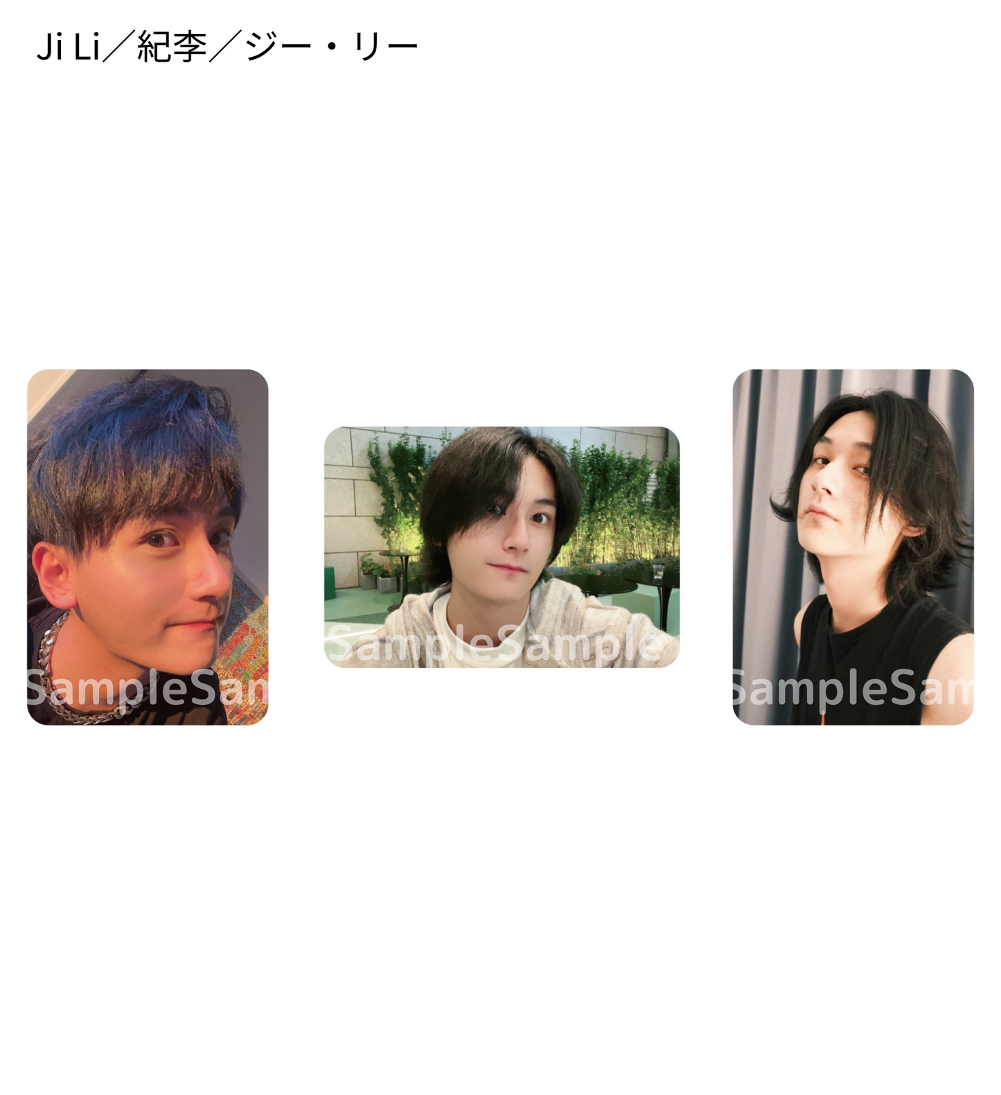 《時を超えた出会い 2024・夏》フォトカードセットB（3枚入り）／PhotoCard Set #B（3 cards）