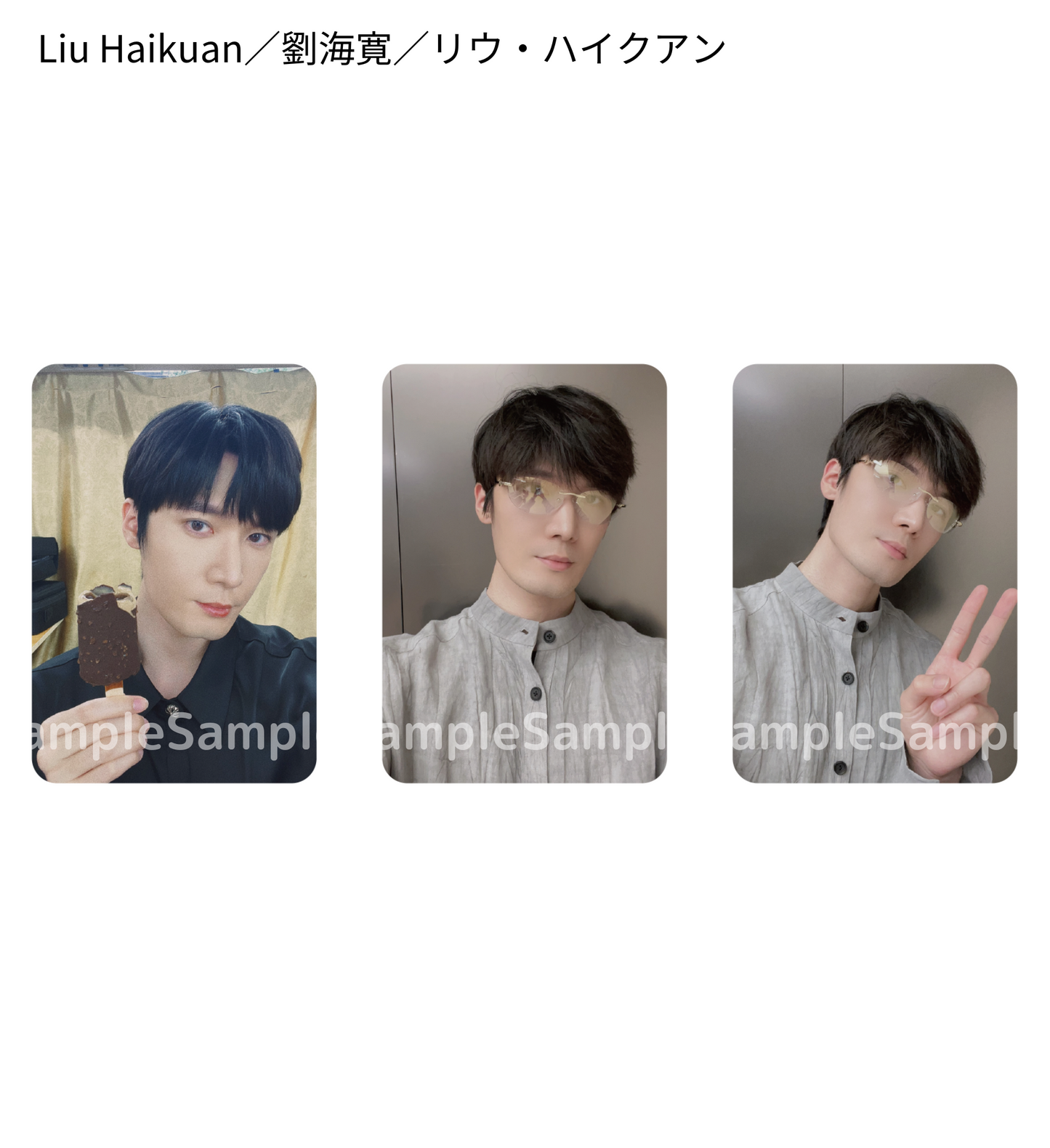 《時を超えた出会い 2024・夏》フォトカードセットB（3枚入り）／PhotoCard Set #B（3 cards）