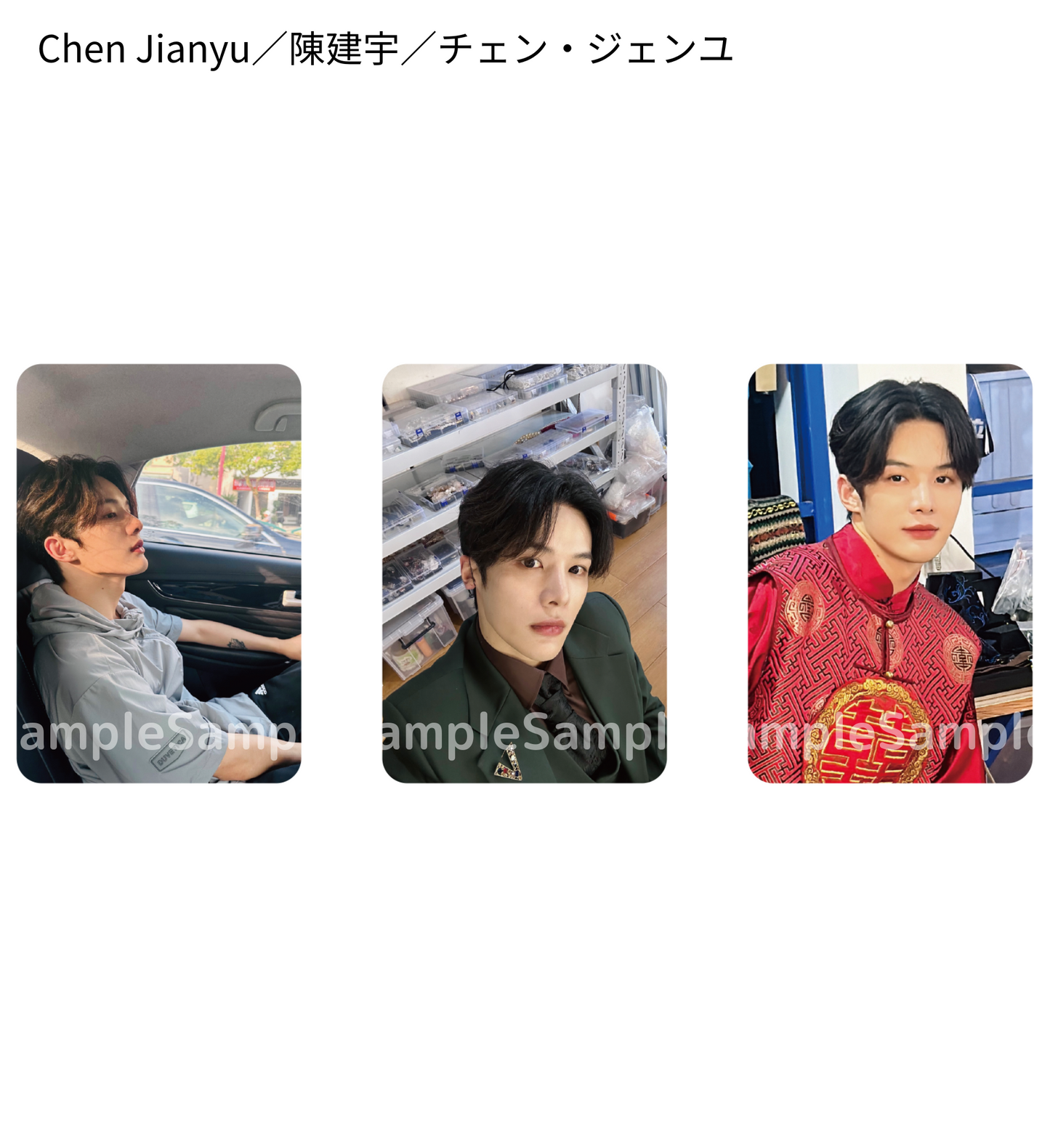 《時を超えた出会い 2024・夏》フォトカードセットC（3枚入り）／PhotoCard Set #C（3 cards）