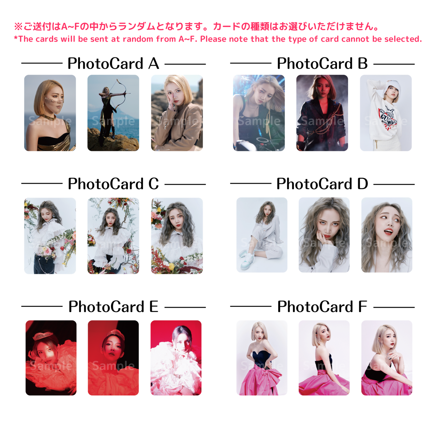 《スー・ルイチー／苏芮琪／Sury Su》ランダムフォトカードセット／Random Photo Card Set